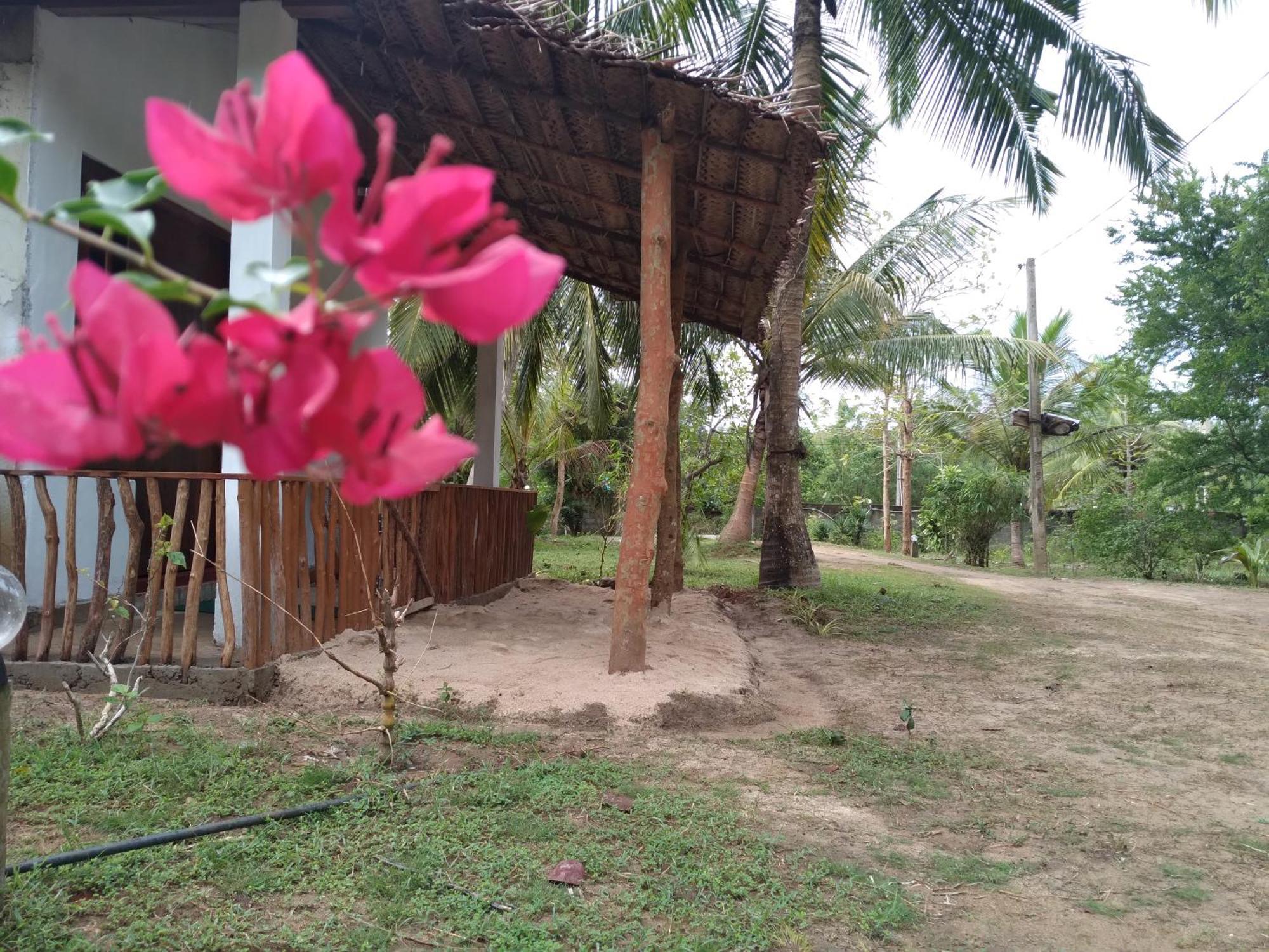 Soma Cabana, Homestay & Restaurant Tangalle Exteriér fotografie