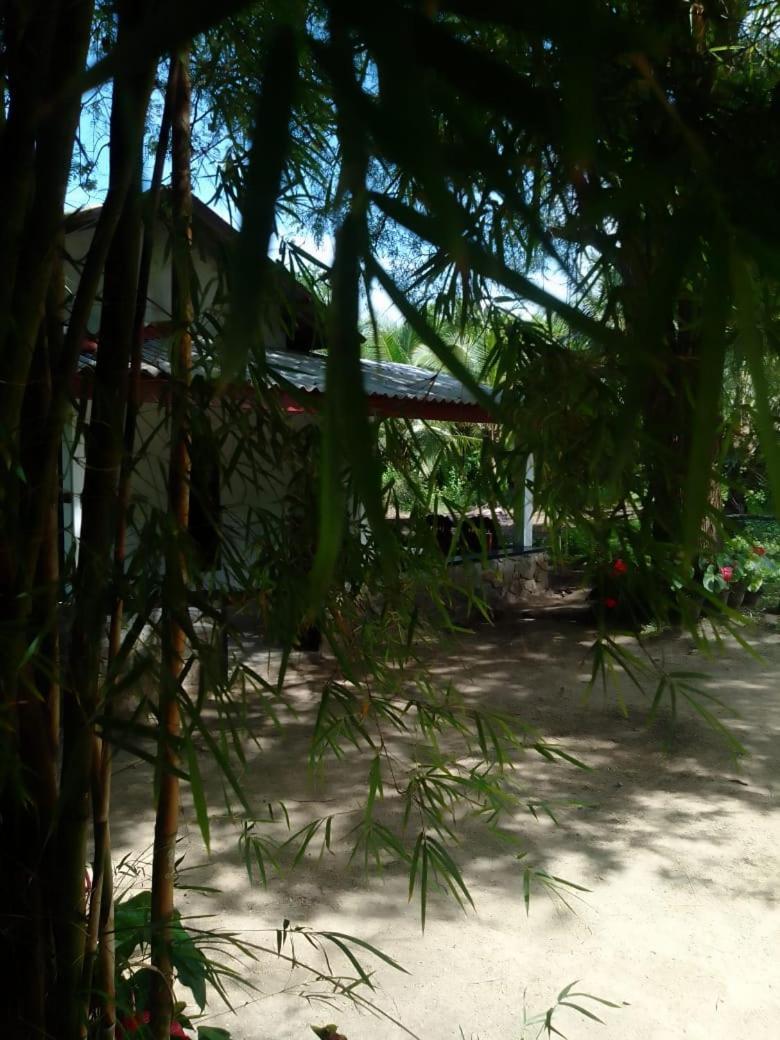 Soma Cabana, Homestay & Restaurant Tangalle Exteriér fotografie
